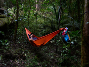 Lightest Hammock, TML  - 53