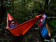 Lightest Hammock, TML  - 53