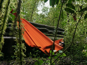 Lightest Hammock, TML  - 53